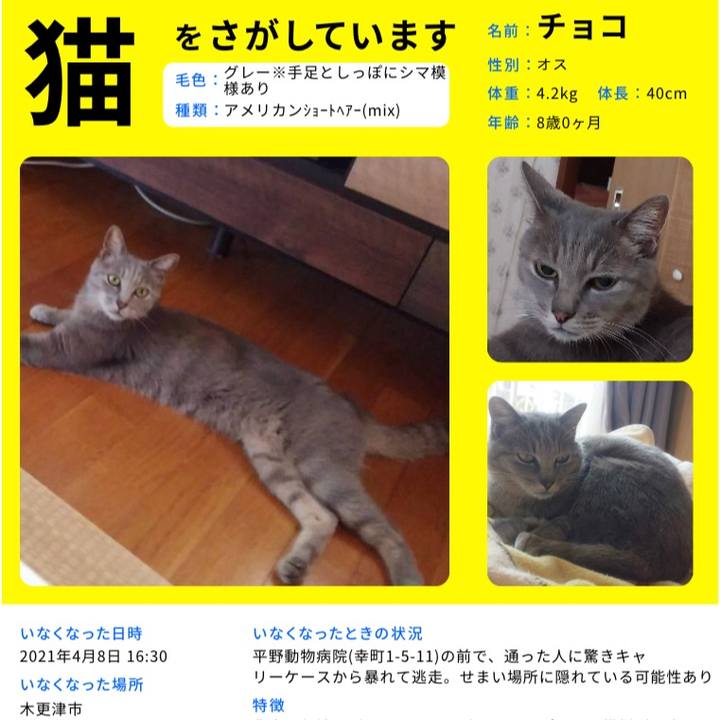 C2b7991d d99a 4f27 96a8 db57d9852196 1625821180880