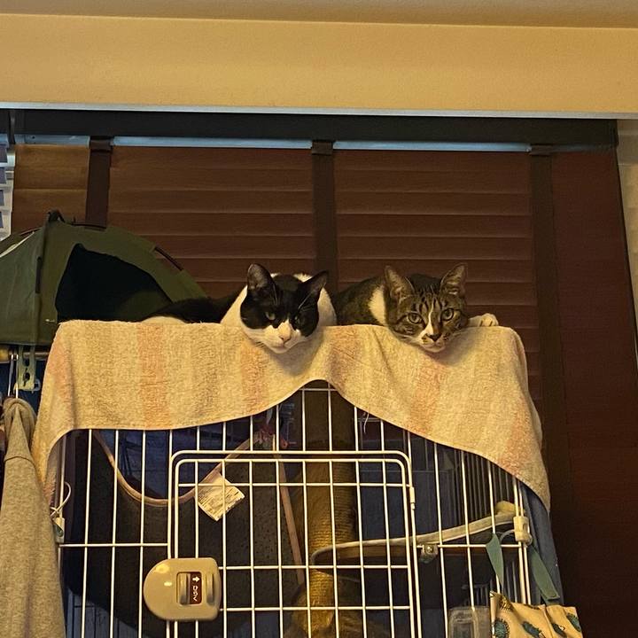 C2b7a2a5 5989 4264 b1b7 97d188248f44 1757943349762