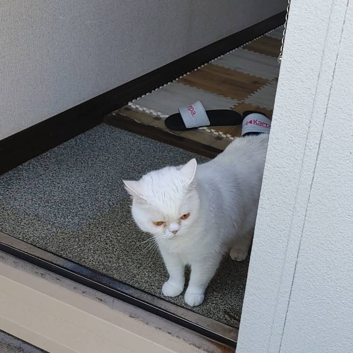 C2b7a768 aca2 4913 b0b6 5963f50e509a 1653364326008