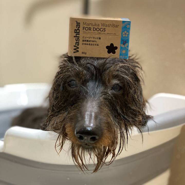 C2b7aa83 476c 412d a5b3 9624087f64d2 1605958785697