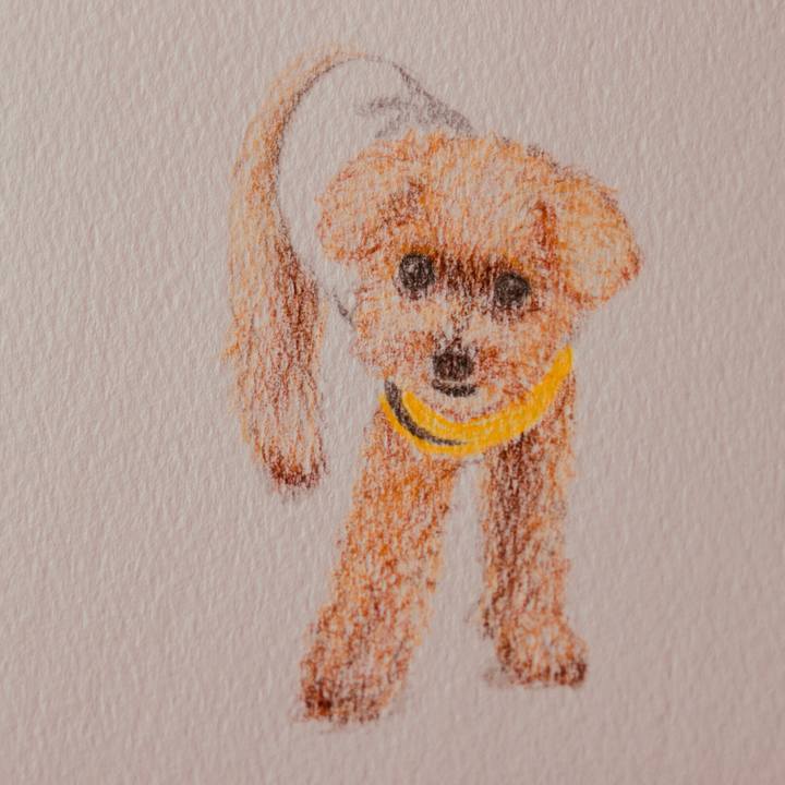 C2b7dd7d 0c21 4a80 b0a8 203076ca72ff 1624977714751