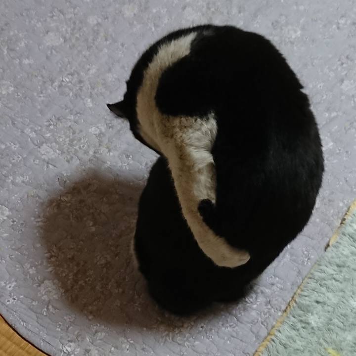 C2b7e8d9 7261 4a1b ba6c f4d178609dc3 1550202193606