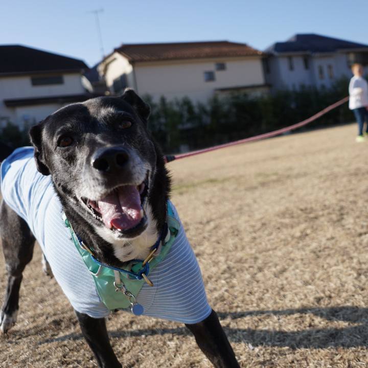 C2b7f919 a036 4980 9ee1 aa122717e48a 1771720304574