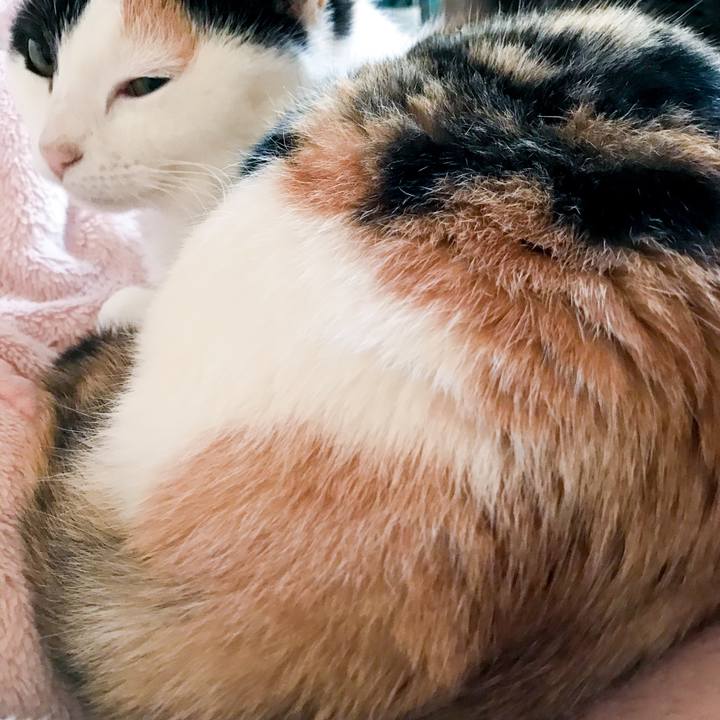 C2b8a713 c0dc 4cdd 9d63 0524aa9de923 1516767915729