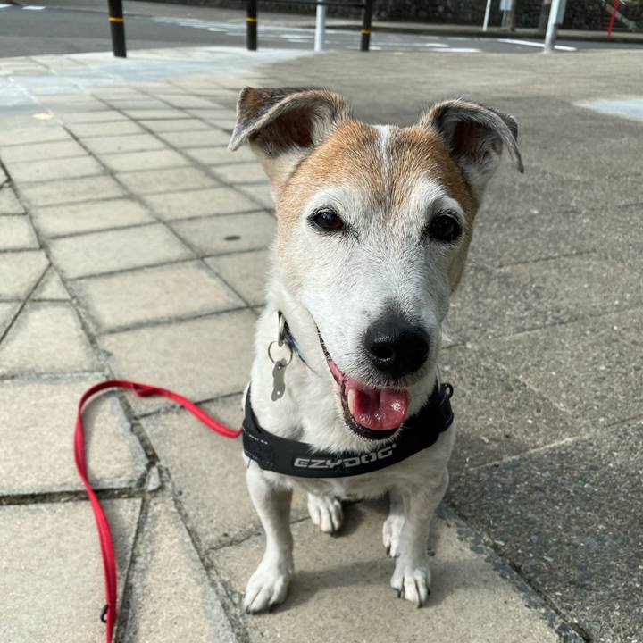 C2b8c8c9 334c 4f5c 8c73 3c84df1acac3 1601681491872