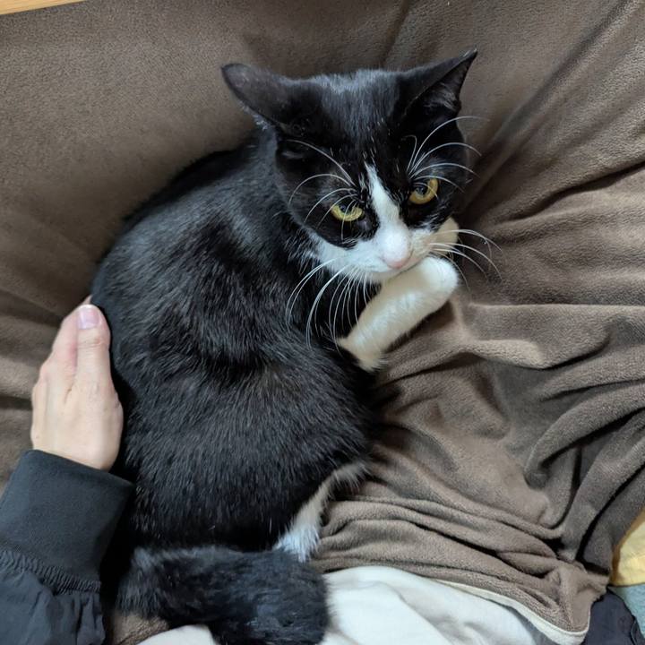 C2b92c6a d7ef 4402 96a3 0b1ca6b00fbe 1762405240785