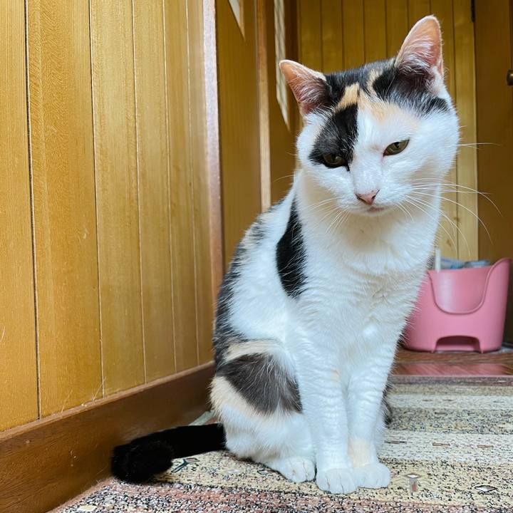 C2b9d2c0 76c0 4650 a3b9 430fd3e51c8e 1657160388300