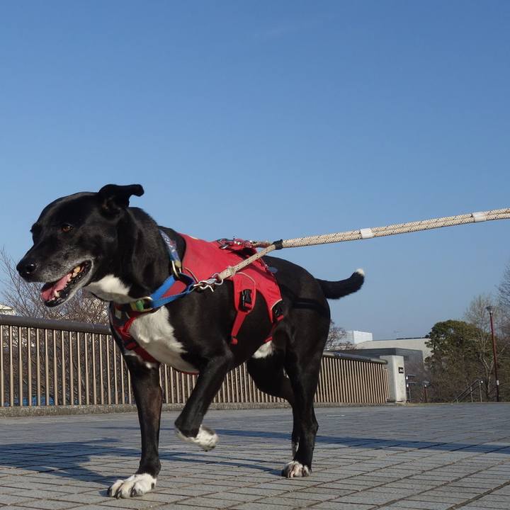 C2b9eeda eb1b 40ca be5a b2fc521742d3 1678843058170