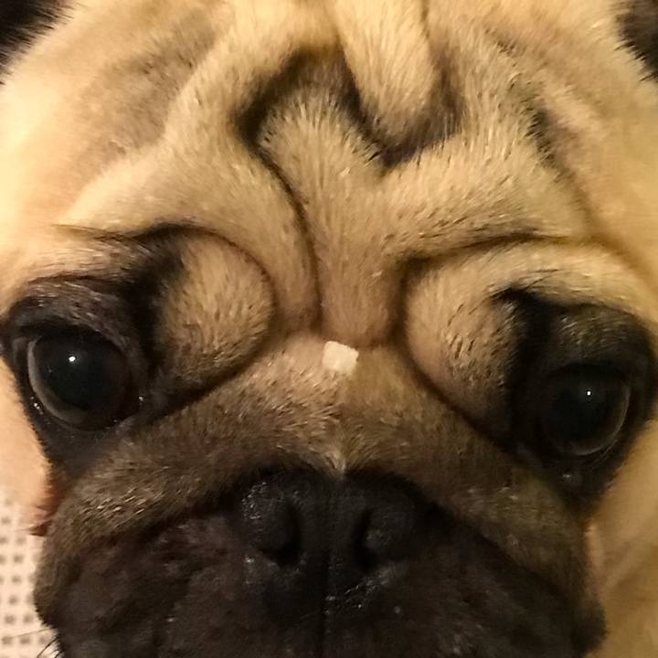 C2b9ffca 9b9d 43ec a0c0 72964ed59f04 1567683367490