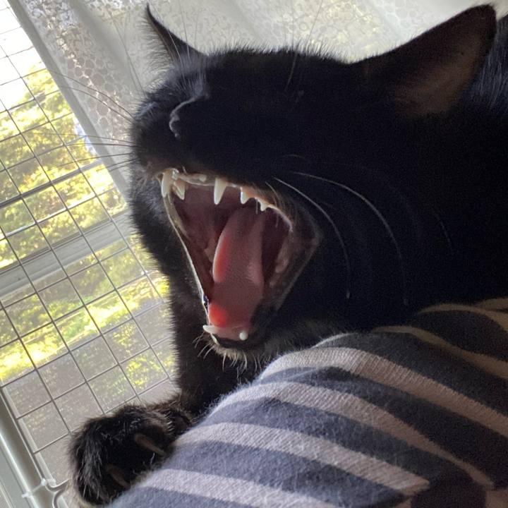 C2ba1137 840d 44c5 8fb1 173c11d78a6a 1619266858777