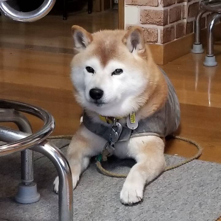 C2ba25d8 7ee7 4b45 b268 567548cec362 1678664324660