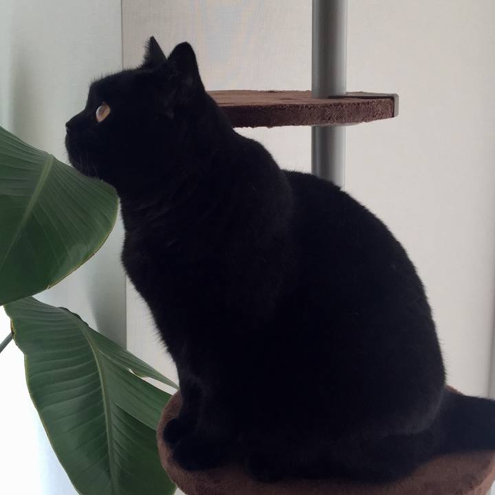 C2ba3acc 6d74 4a3b 8f37 a2554ba53dd8 1535270683863