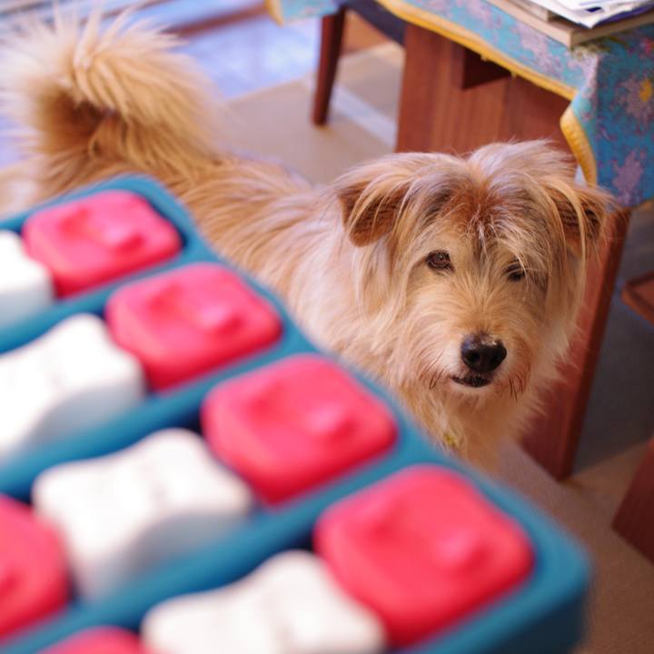 C2ba3c26 ec20 4d50 8517 7da5ade22466 1582671323139