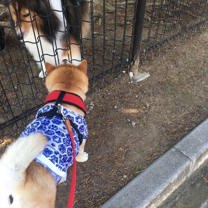 C2ba8910 6e47 4797 a89d 8d7af3b574dc 1597273324186