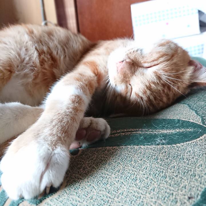 C2ba8916 5fa2 43d0 950a b1e8c1684dcf 1566769561297