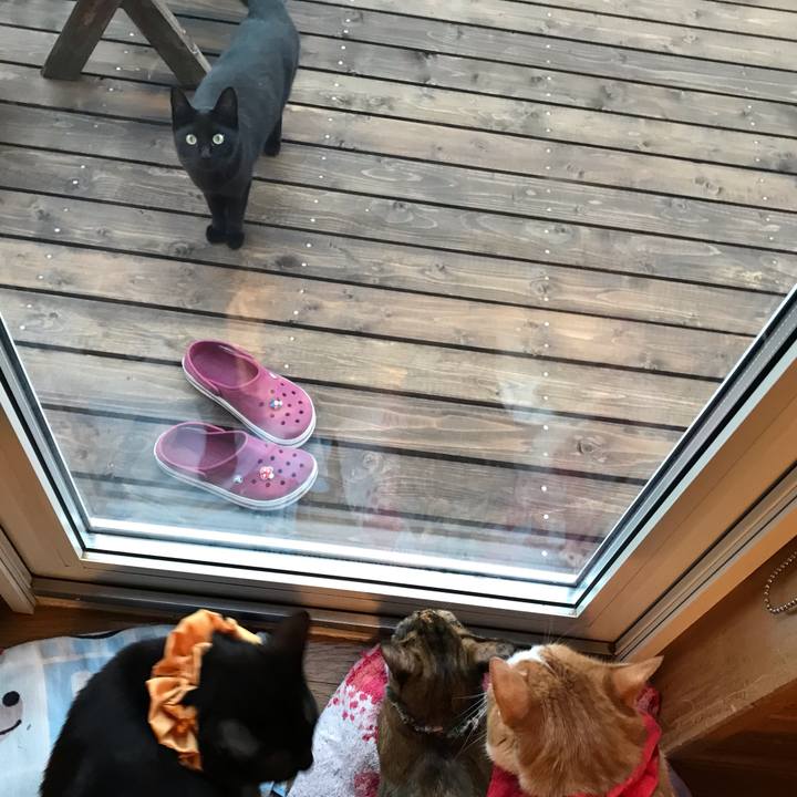 C2ba9d60 9eb3 4559 a40a 41645c009978 1624788450151