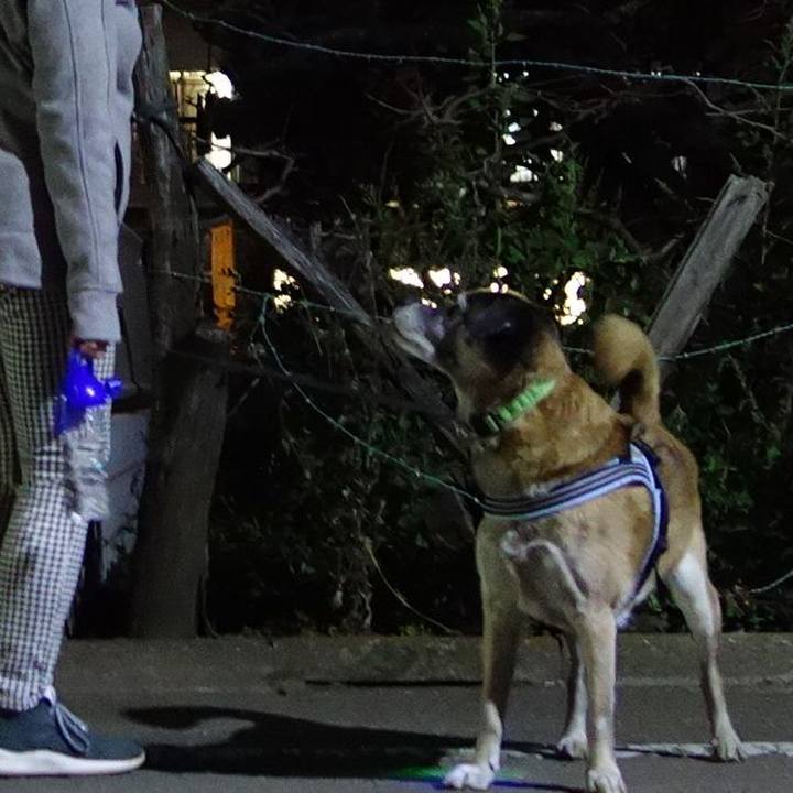 C2baa928 8b60 4905 a97d 3bb4b9d1744d 1510483032477