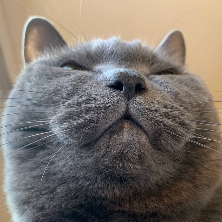 C2bac542 1619 4a8d a49b a392246b232a 1774056905358