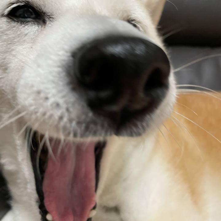 C2badd85 0509 4a94 bcdc 1bc395aeecb1 1630716745026