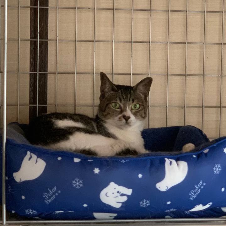 C2badebb 5f09 477a b3c9 646a558468b0 1593737982818