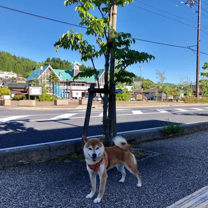 C2bae47f 854b 4b5f a030 eec0696bc9d6 1526716247237