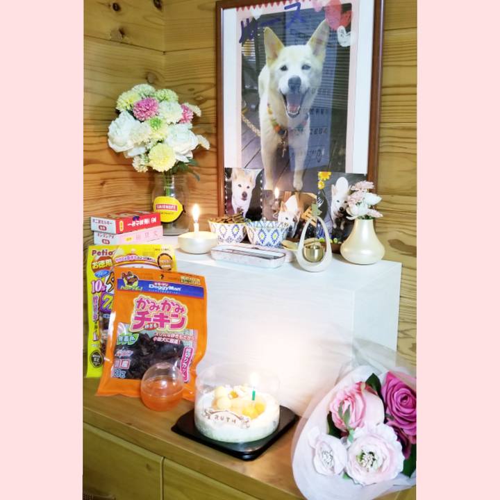 C2bae8d5 fd59 415e bfd0 95410c0aa24a 1573213809081