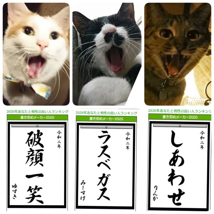 C2bb1e0a 10ff 4b26 9cf4 9c3d2a4ac64e 1577818467775