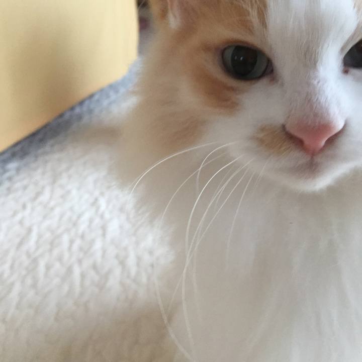 C2bb35e9 6aba 40bf b0a0 428381f17aa7 1549767278855