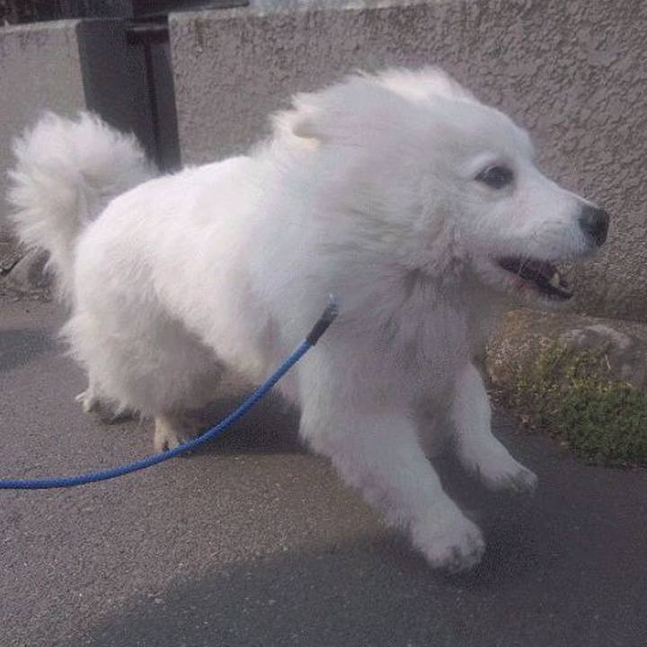 C2bb458a 3d7f 4306 a28b 07e64db9b10f 1679956906416