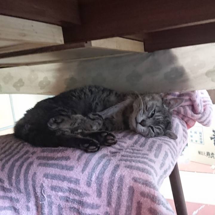 C2bb602b 8cb9 41de 86c0 c4f3dd12fd09 1587854568288