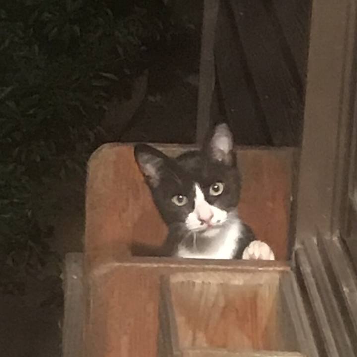 C2bb6217 660b 407c 90a0 24d833ae1a06 1735212145909