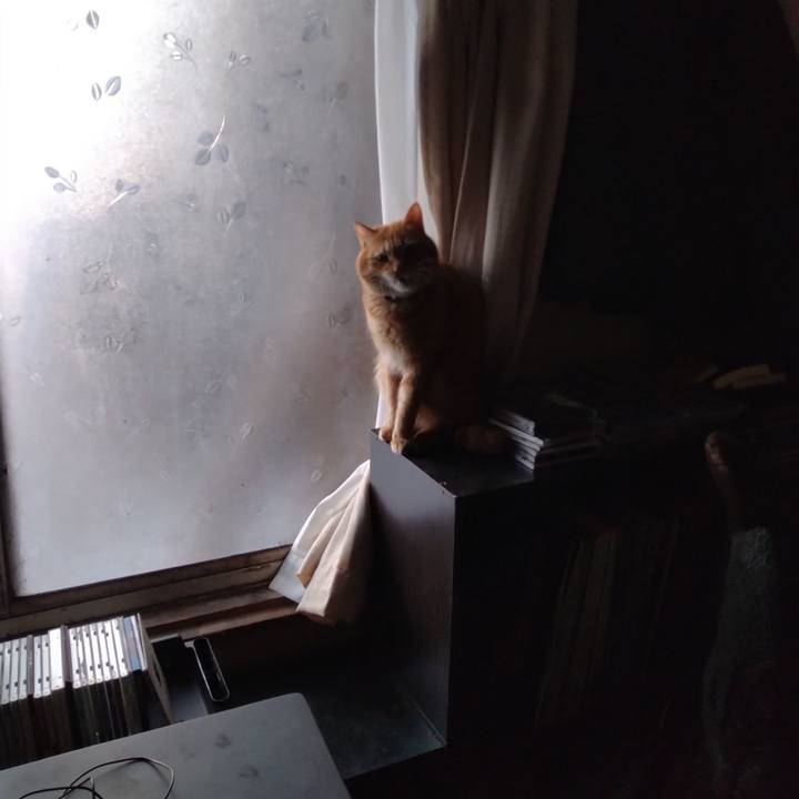 C2bb7d73 8ec7 4afd b7ff 9c7d170ce01b 1679177478358