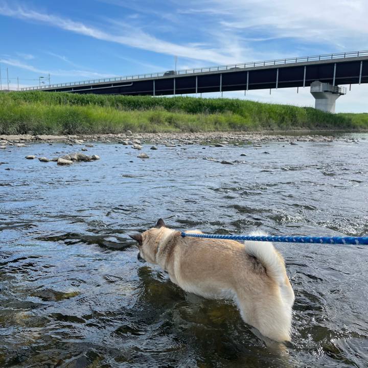 C2bb83ec 7a52 47c8 8d7b 6981c0dc5b40 1656758876790