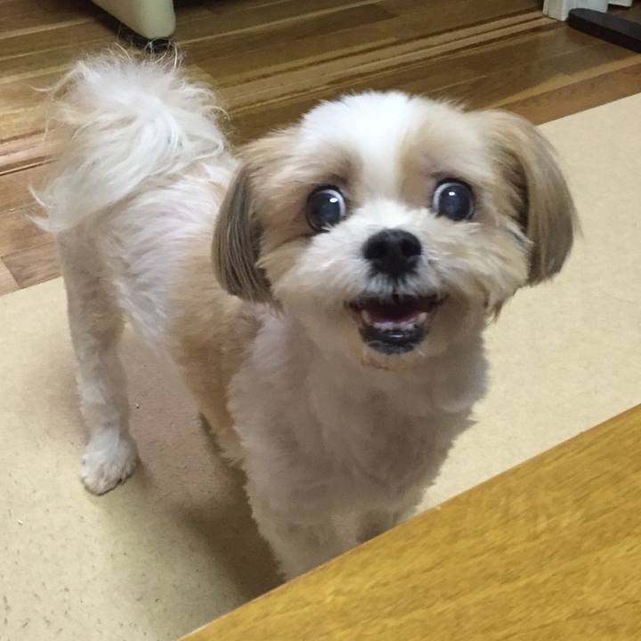 C2bbcab1 d566 4a5c bd17 8ade55886740 1558321041340