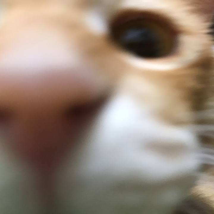 C2bbf63f aeac 4bac 96ea b9c026946009 1511096005532