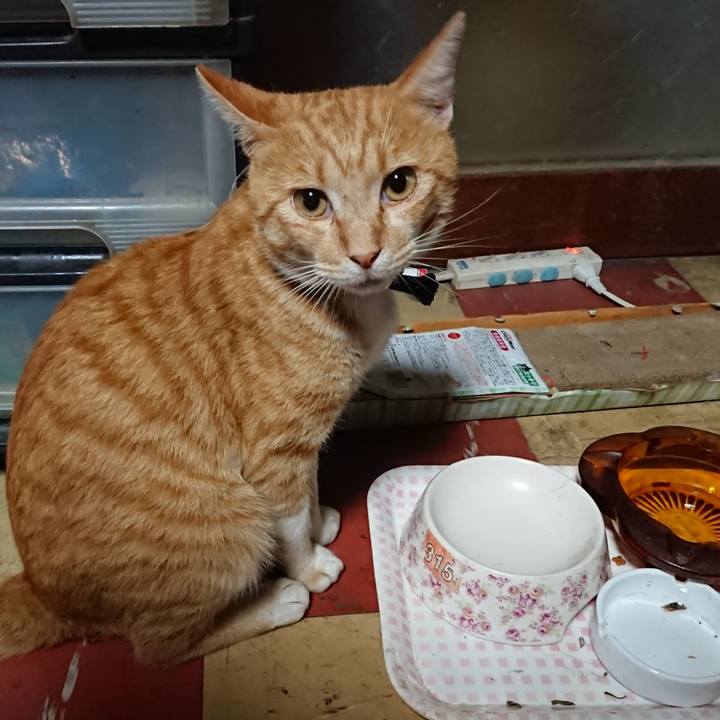 C2bc3b4f 8c33 4114 b249 0c994f3e6795 1564516134526