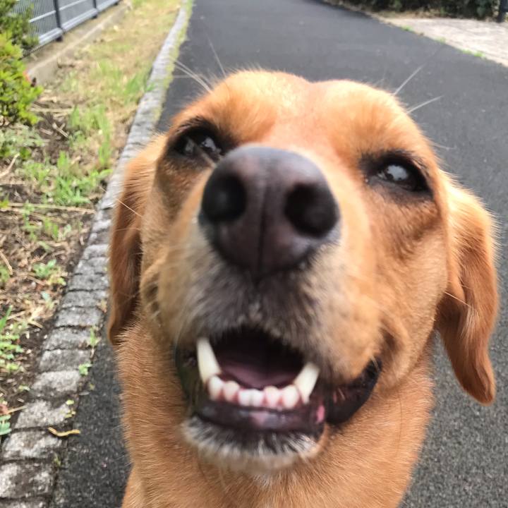 C2bc8117 dbc9 4612 8d00 1be9b4a7240b 1549521124018