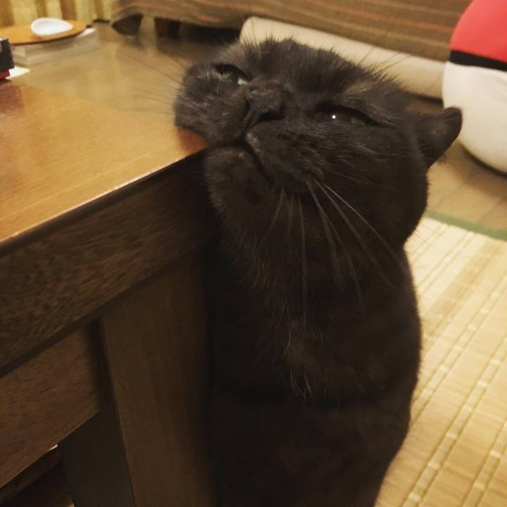 C2bcb985 2c7d 4a36 90ac f017f0d4f7a4 1538928136568