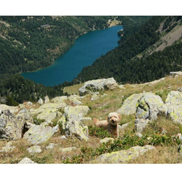 C2bcdb25 58d1 4d7c bbde 4af11f03a703 1564671079237