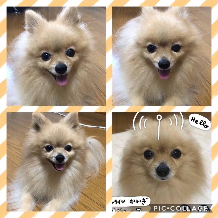 C2bcdb44 497e 43a2 b1aa 6a35f55cc39f 1598267729241