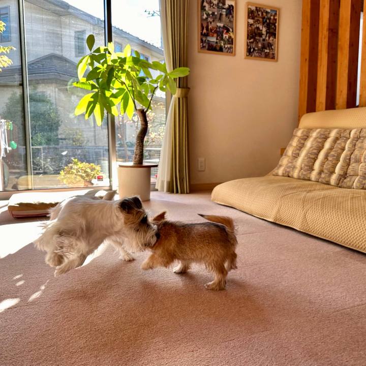 C2bcea0c be0b 4f7a a37d d232607c1f8d 1701379085424