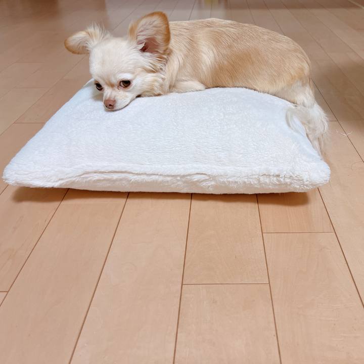 C2bd2b71 464d 4355 867f de7b8bb84c61 1681206935956