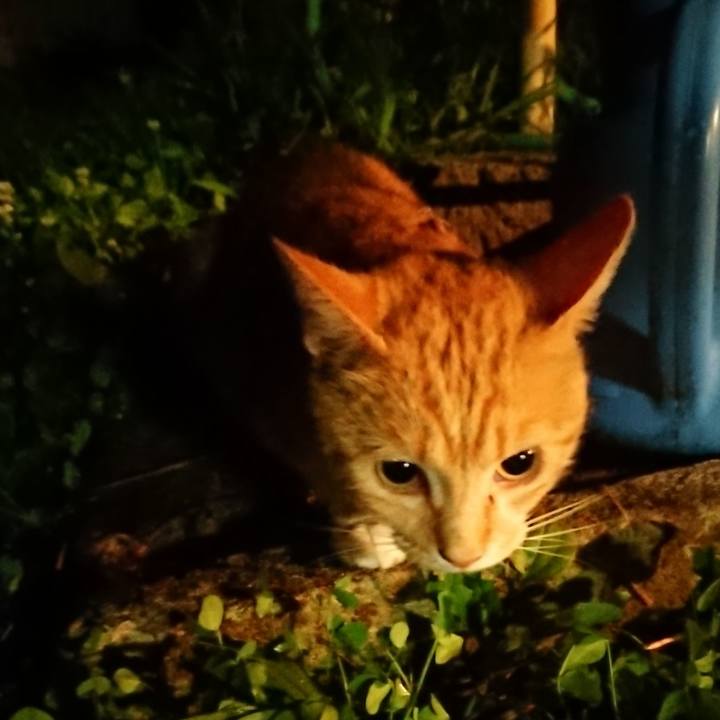 C2bd38a4 a16a 4d4c a21f 3394e6c92071 1563969331152