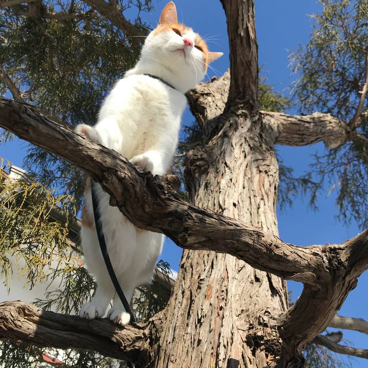 C2bd38d2 f73f 4d42 bd7e 54f3f90b751b 1516947460058