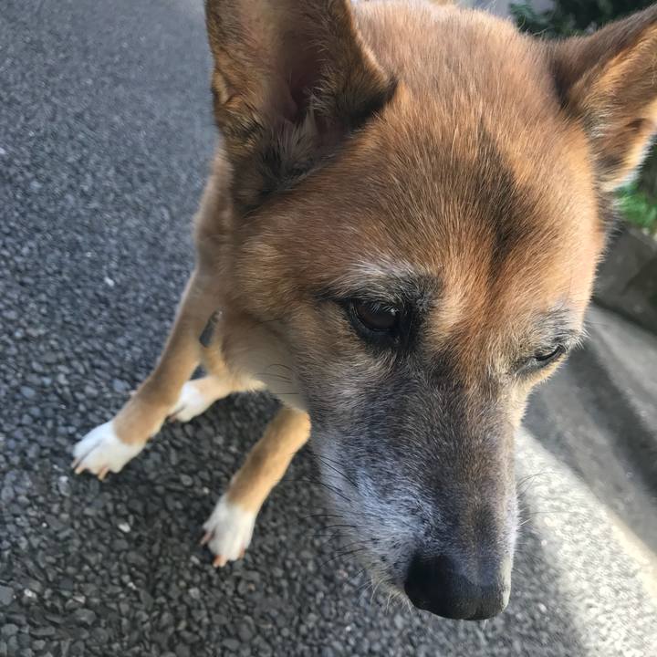 C2bd583d 44b6 4cd9 a5b7 ecfe9c718451 1534556516533