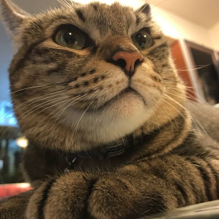 C2bd6505 4ccc 4b63 af74 411982520d34 1509609309237