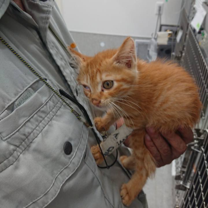 C2bd711a df25 4295 8203 c7dc744f47bc 1627706659582