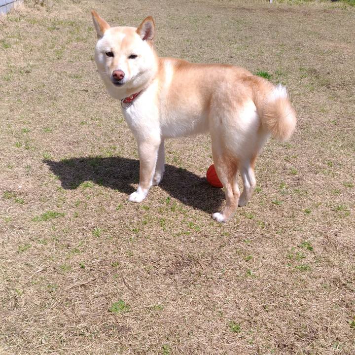 C2bd997a e9f5 4d33 8108 c40cba3f3006 1522571461757