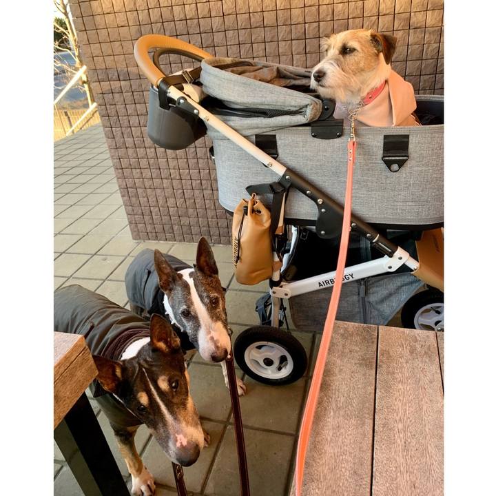 C2bda5e7 e5f8 4568 9706 a50384ff108a 1609756592904