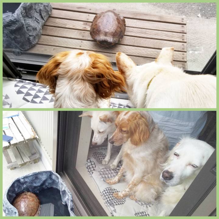 C2bda68e 50b4 4038 b29d dbd15e87fbf4 1591536544748